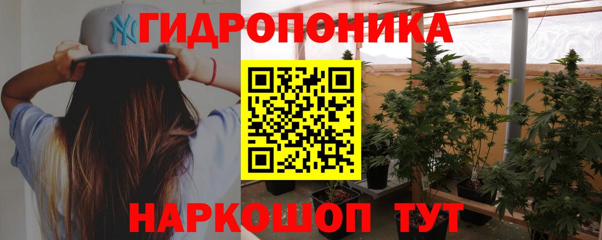 Шишки марихуана Amnesia Карасук